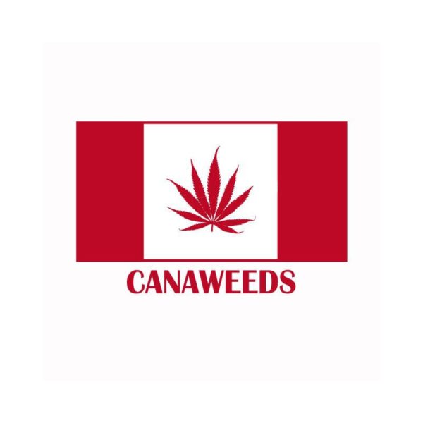 Rasta Tee-Shirt T-shirt flag canada flag cannabis canaweed white