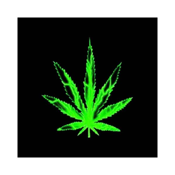 Rasta Tee-Shirt Tee shirt marijuana leaf