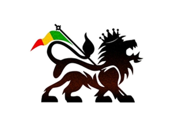 Lion of Judah Rasta Flag White T-shirt Short Sleeves Black Green Yellow Red