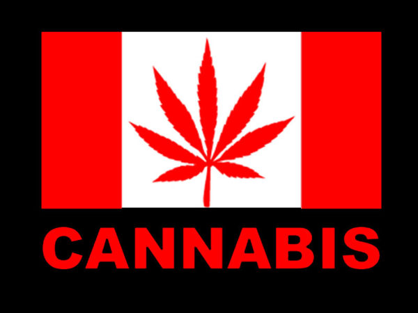 Canada Cannabis Black Tee-Shirt