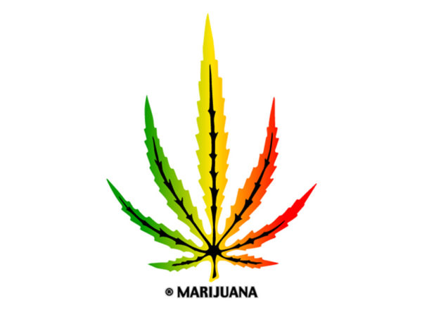 Marijuana Rasta Colors Big Cannabis Leaf White Tee-Shirt