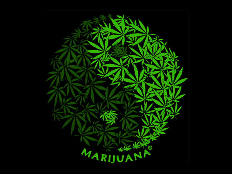 sites_rasta-products.com_files_tee-shirt-yin-yang-cannabis-black-logo.jpg